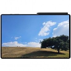 [렌탈] 갤럭시탭 S9 Ultra 14.6인치